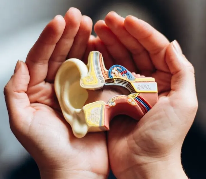 Βουητό στα αυτιά: Ο μύθος του «Δεν μπορείς να κάνεις τίποτα»